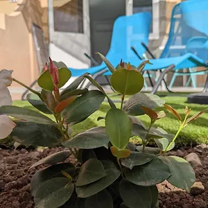 Appartamento Oceano Mare - Tu Casa En Maspalomas, Maspalomas (Gran Canaria)